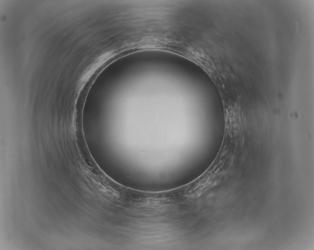 X0000071960292200607071459