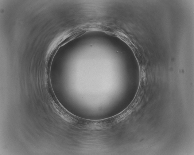 X0000071960293200607071459