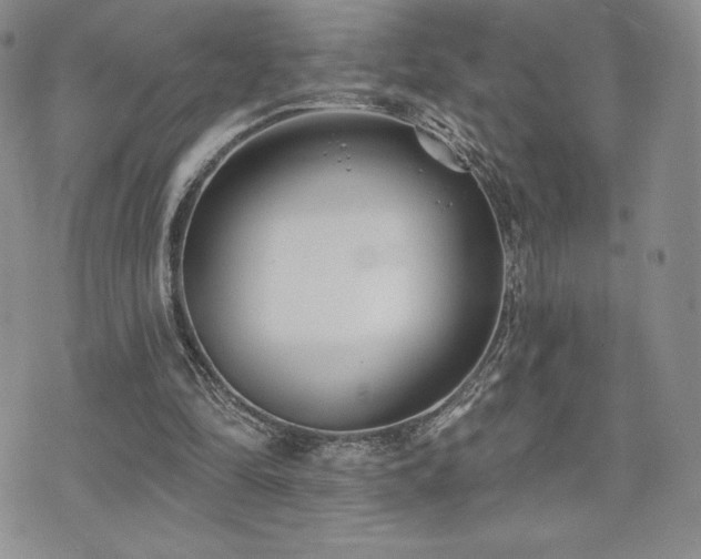 X0000071960294200607071459