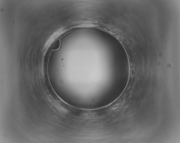 X0000071960296200607071459