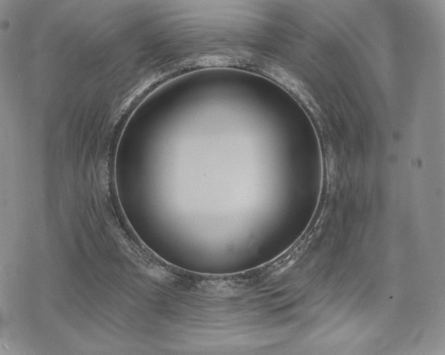 X0000071960297200607071459