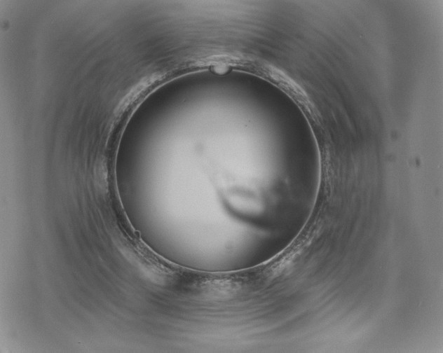 X0000071960298200607071459