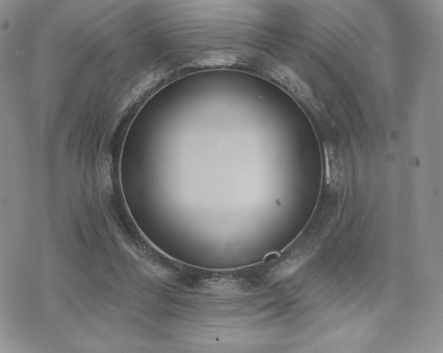 X0000071960300200607071459