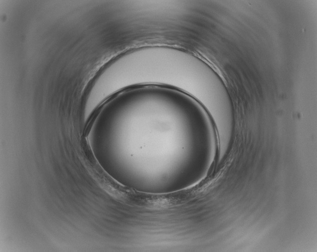 X0000071960301200607071459