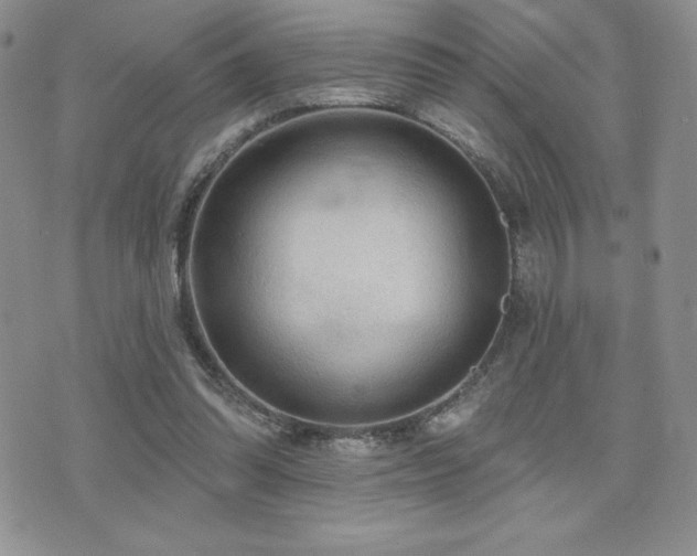 X0000071960302200607071459