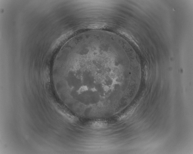 X0000071960303200607071459