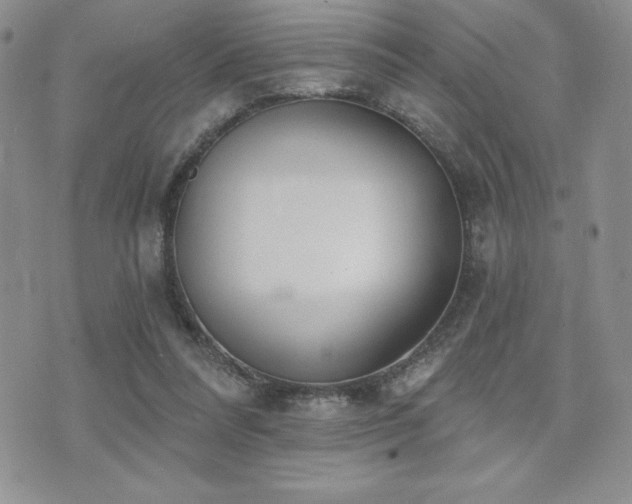 X0000071960304200607071459