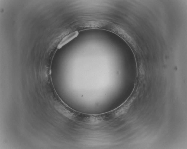 X0000071960305200607071459