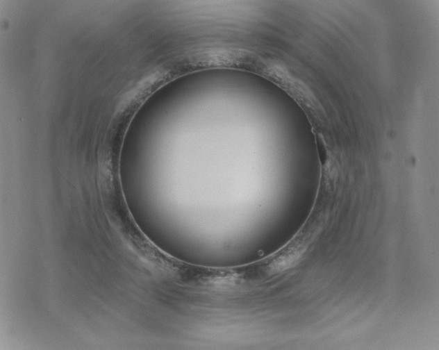 X0000071960306200607071459