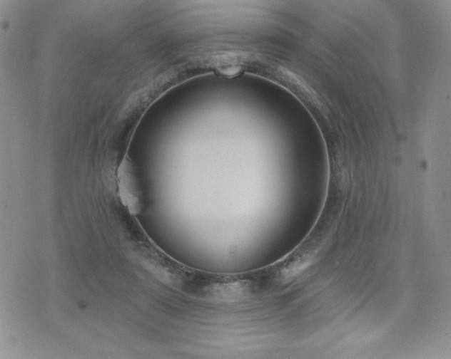 X0000071960307200607071459