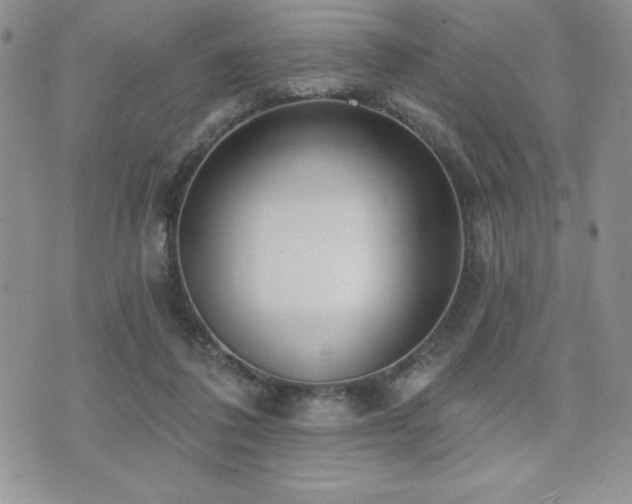 X0000071960308200607071459