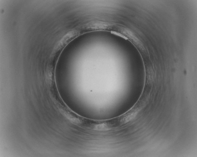 X0000071960309200607071459