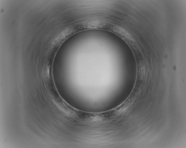 X0000071960310200607071459