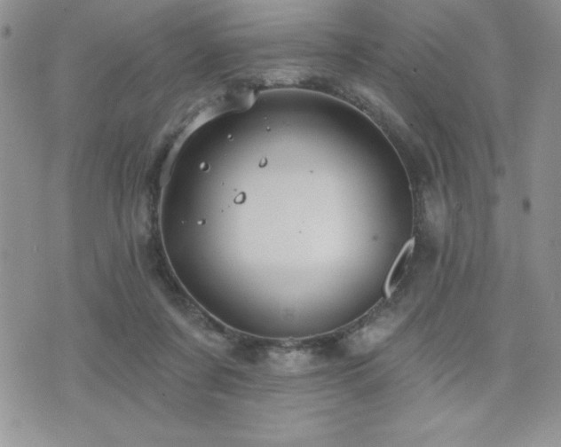 X0000071960311200607071459