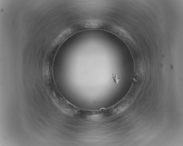 X0000071960312200607071459