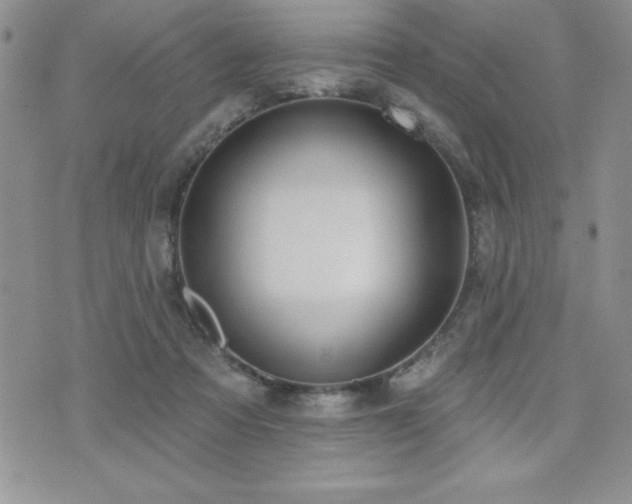 X0000071960313200607071459