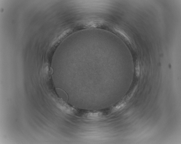 X0000071960314200607071459