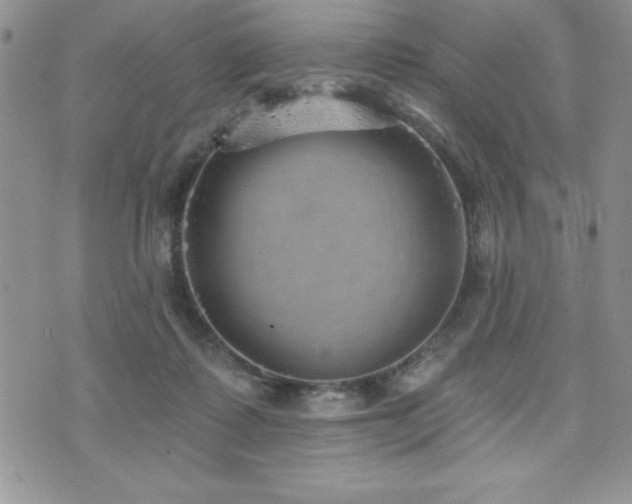 X0000071960315200607071459