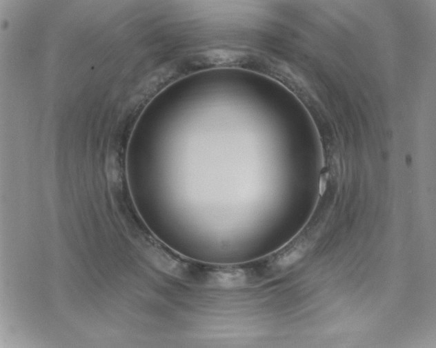 X0000071960317200607071459