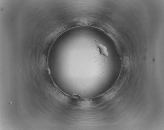 X0000071960318200607071459