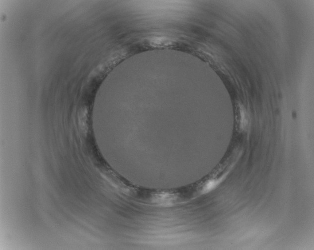 X0000071960319200607071459