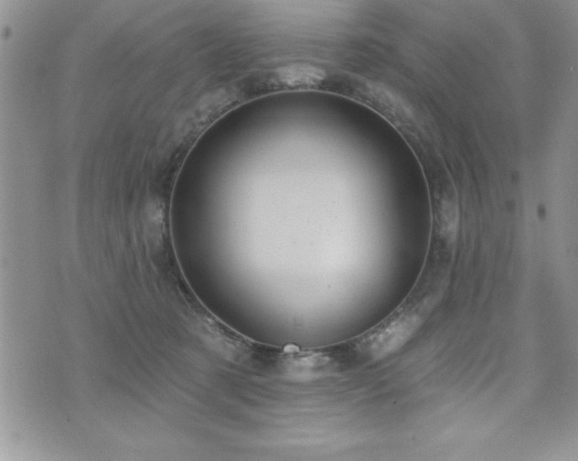 X0000071960321200607071459