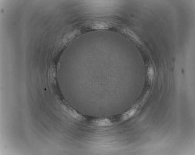 X0000071960322200607071459