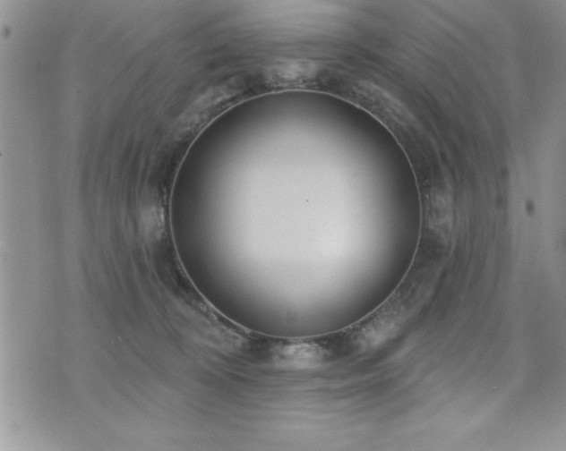 X0000071960324200607071459