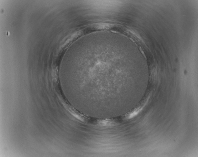 X0000071960325200607071459