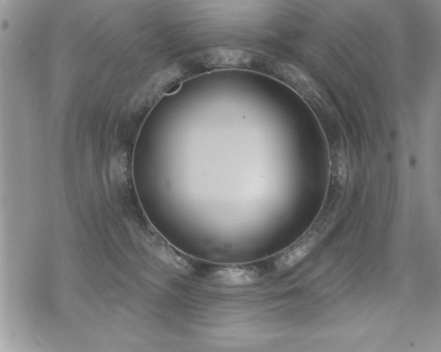 X0000071960326200607071459