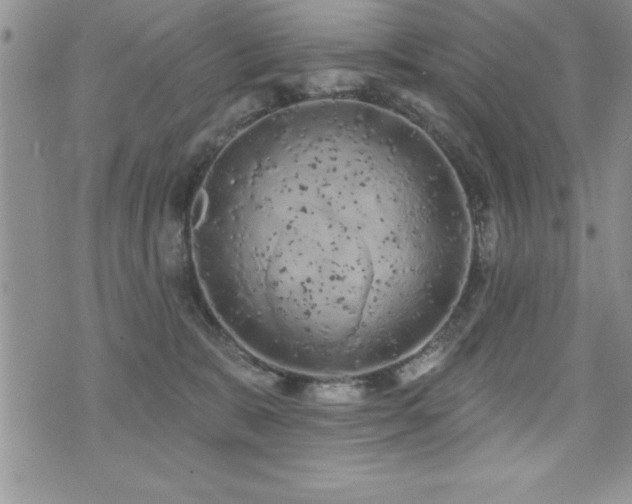 X0000071960327200607071459