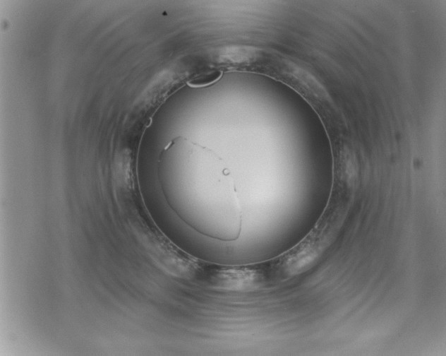 X0000071960328200607071459