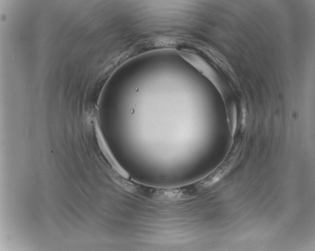 X0000071960329200607071459