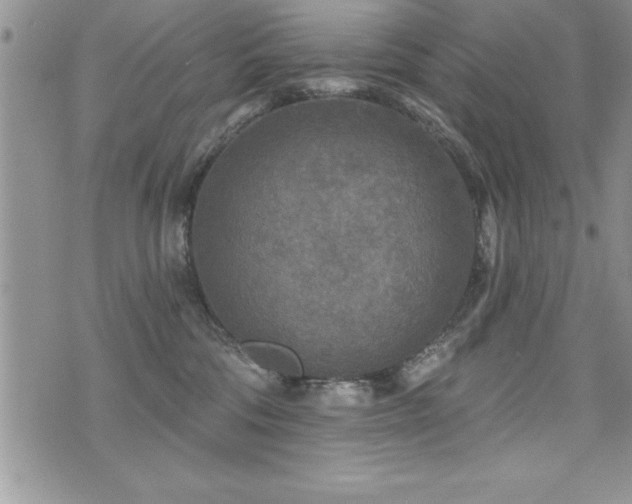 X0000071960330200607071459