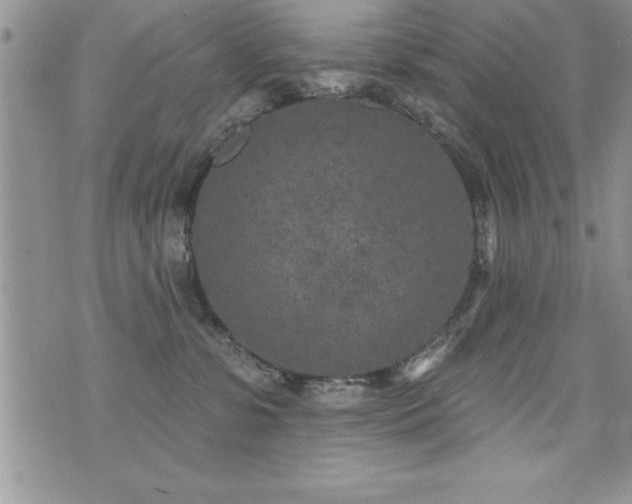 X0000071960331200607071459