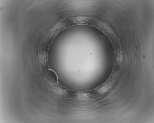 X0000071960332200607071459