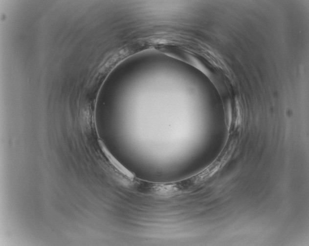 X0000071960333200607071459