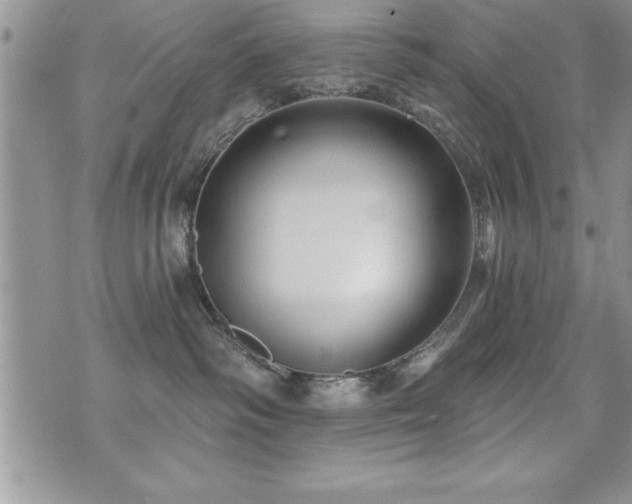 X0000071960334200607071459