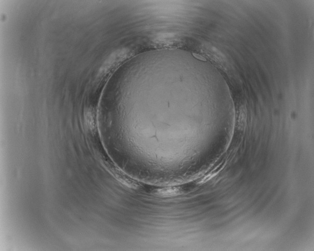 X0000071960335200607071459