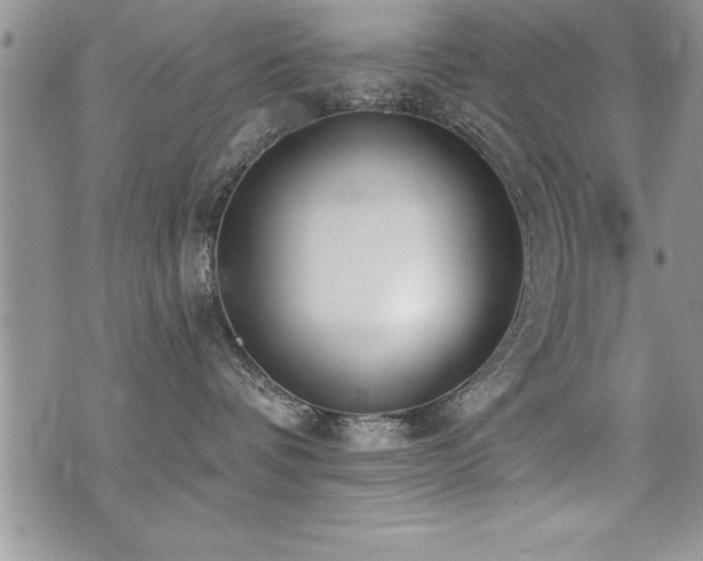 X0000071960336200607071459