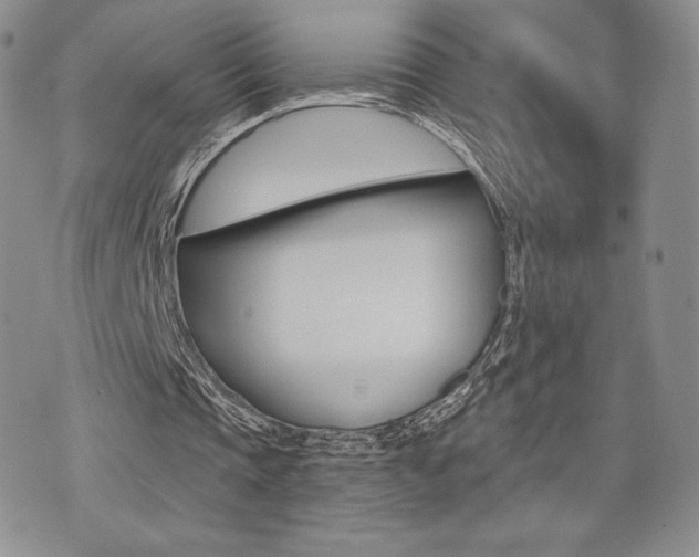 X0000071960337200607071458