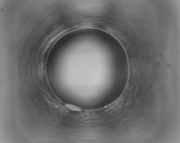 X0000071960338200607071458