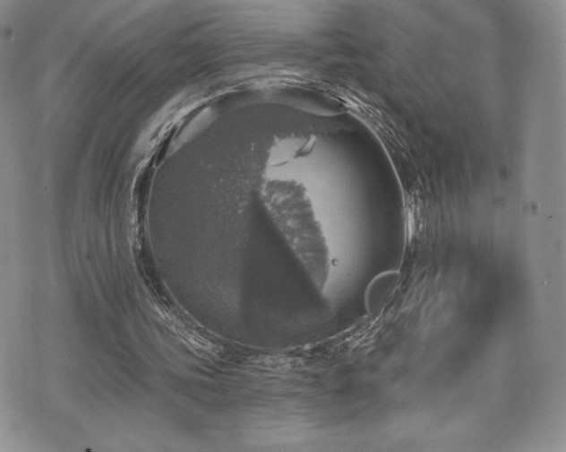 X0000071960339200607071458