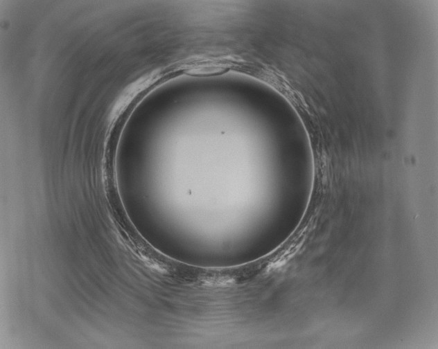 X0000071960340200607071458