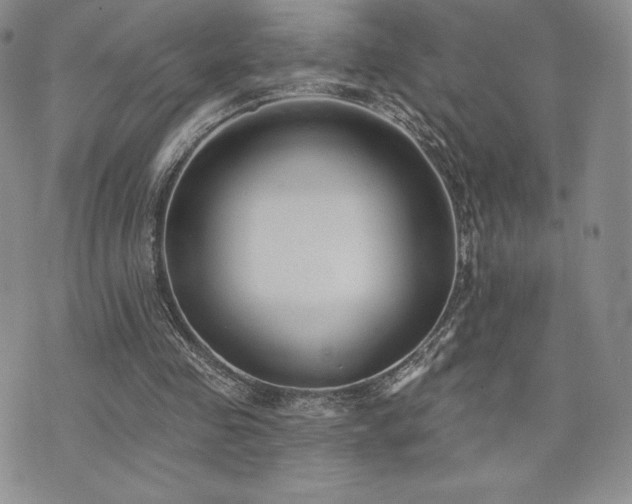 X0000071960341200607071458