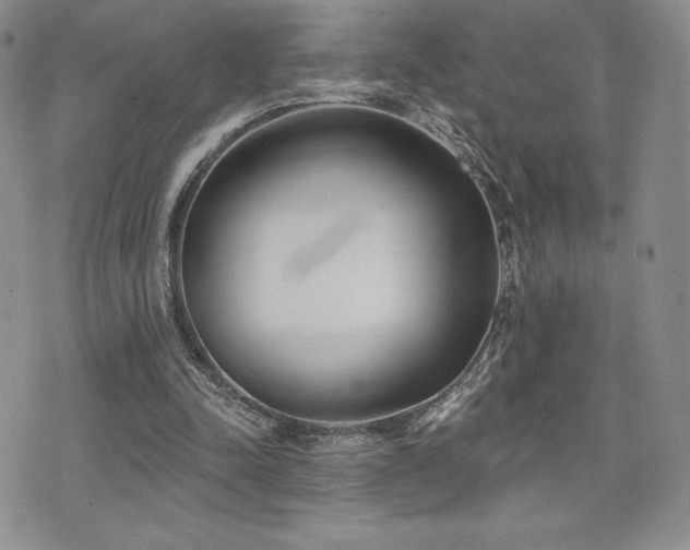 X0000071960342200607071458