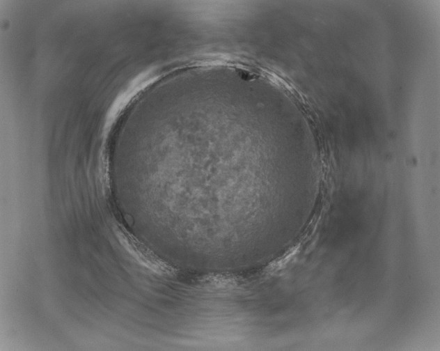 X0000071960343200607071458