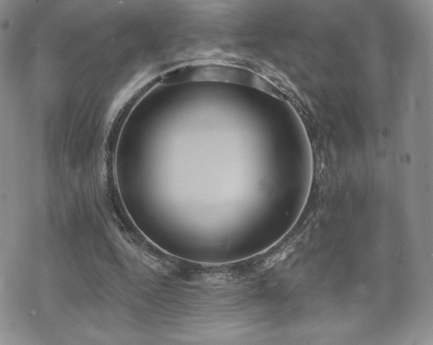 X0000071960344200607071458