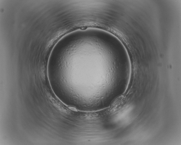 X0000071960345200607071458