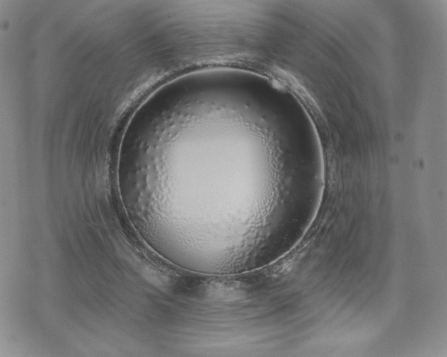 X0000071960346200607071458